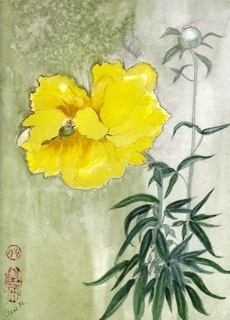 Yellow Peony - SOLD